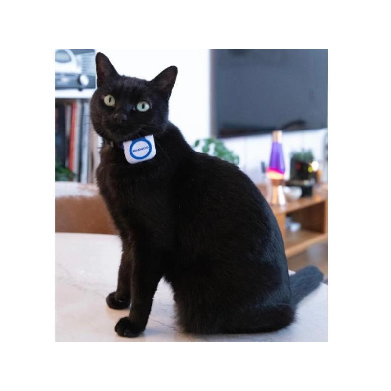 Localizador GPS D-C08 para animales con podómetro incorporado.