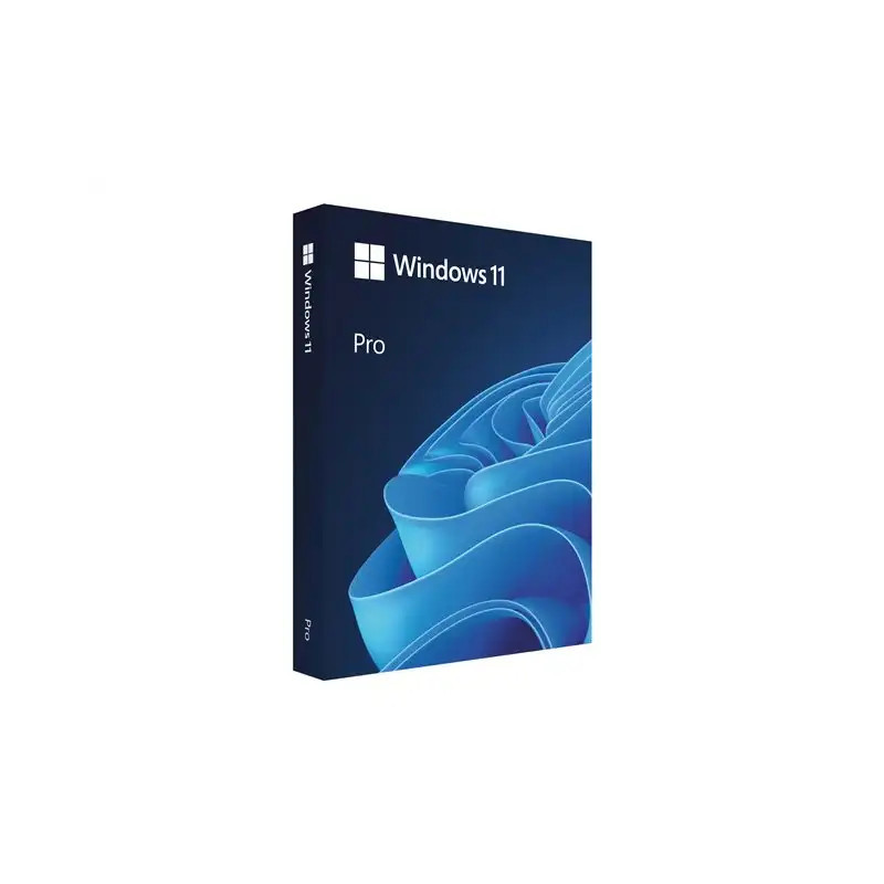 Windows 11 Pro.