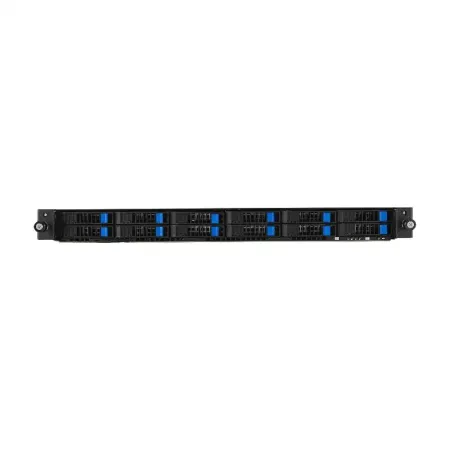 Asus RS500A-E12-RS12U